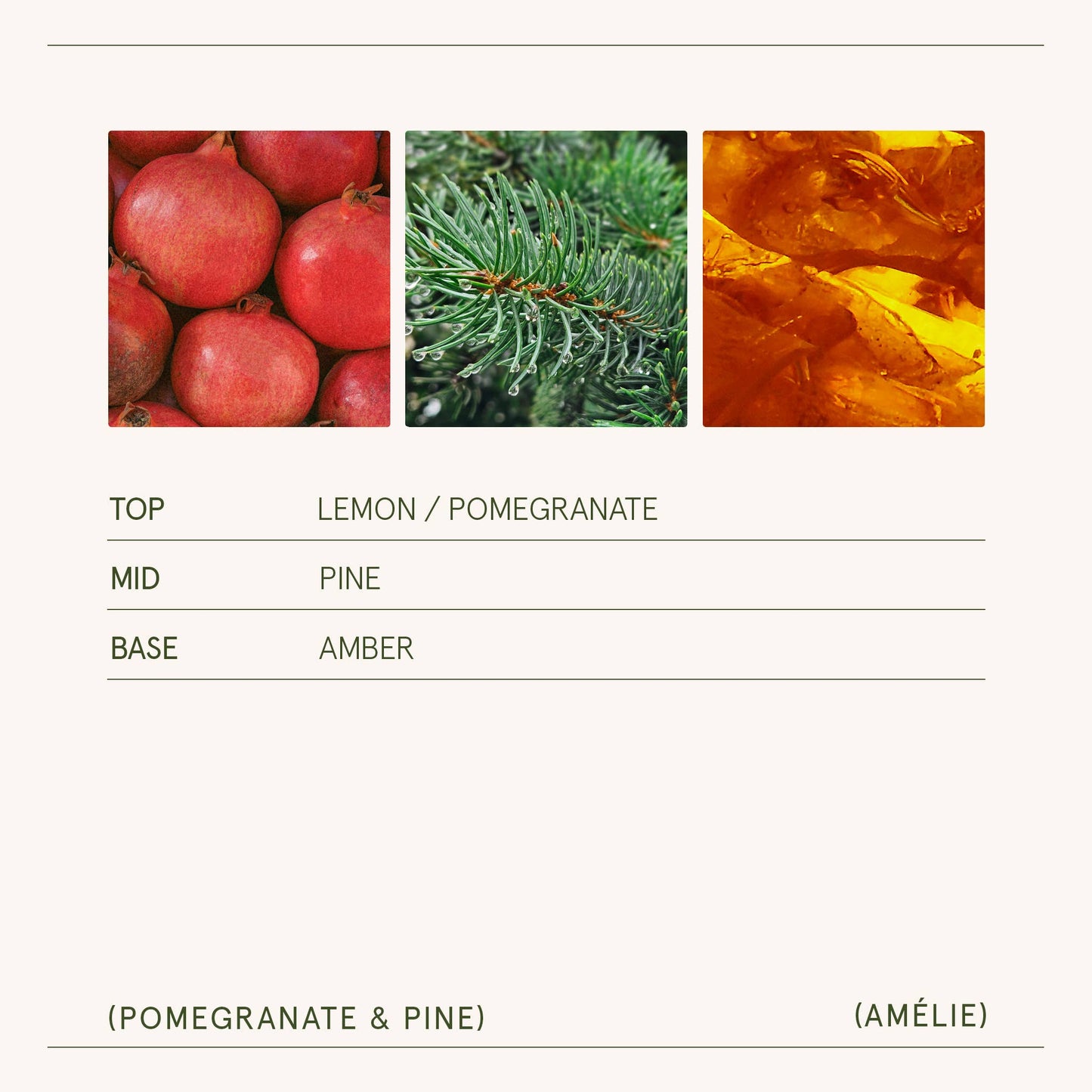 Amélie - Pomegranate & Pine 7oz Candle