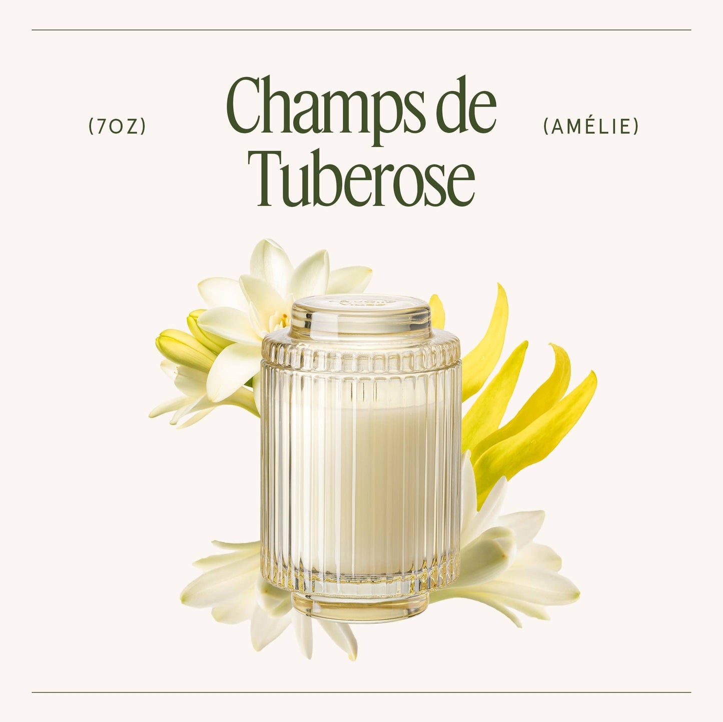 Amélie - Champs de Tuberose 7oz Candle