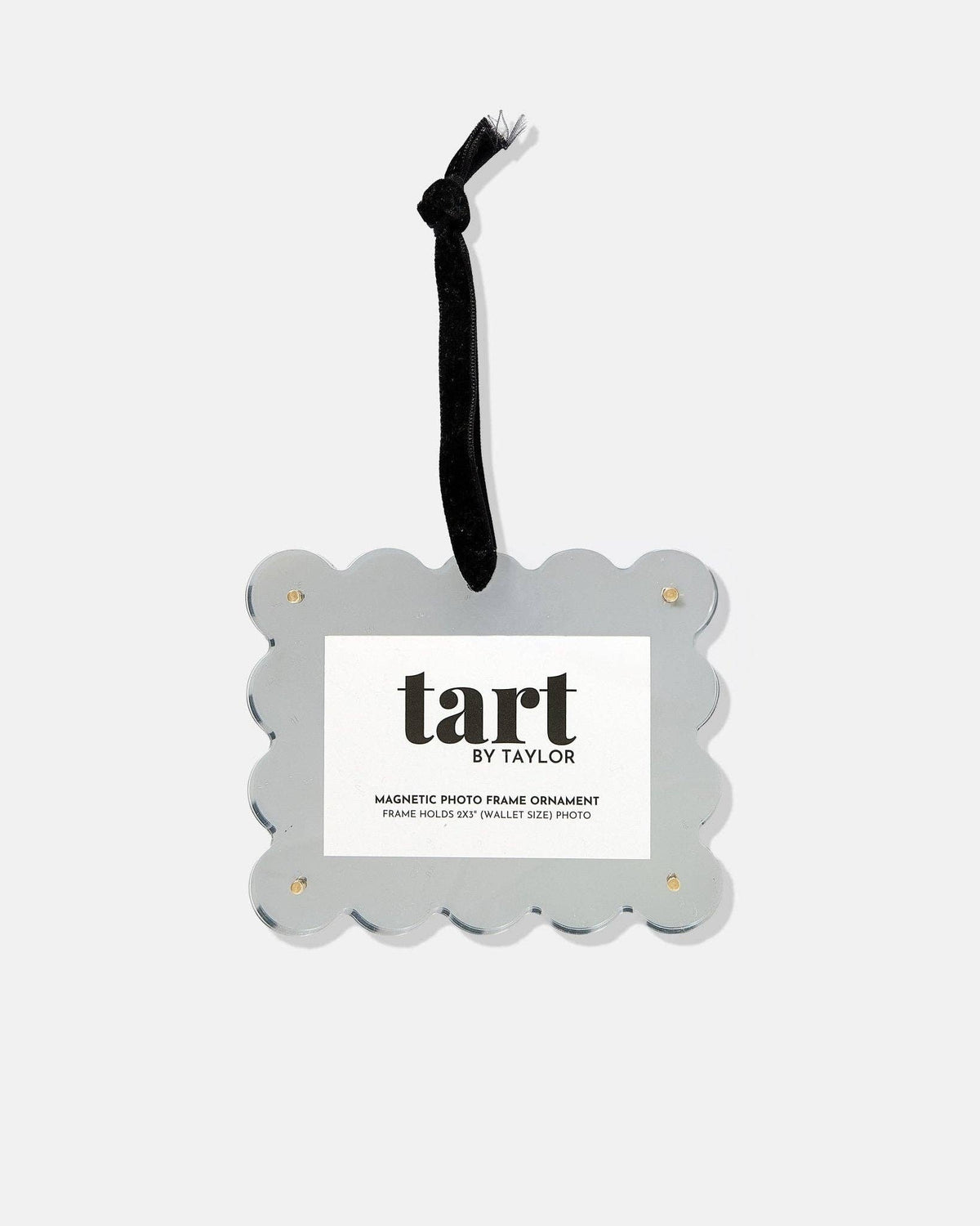 Silver Chrome Frame Ornament