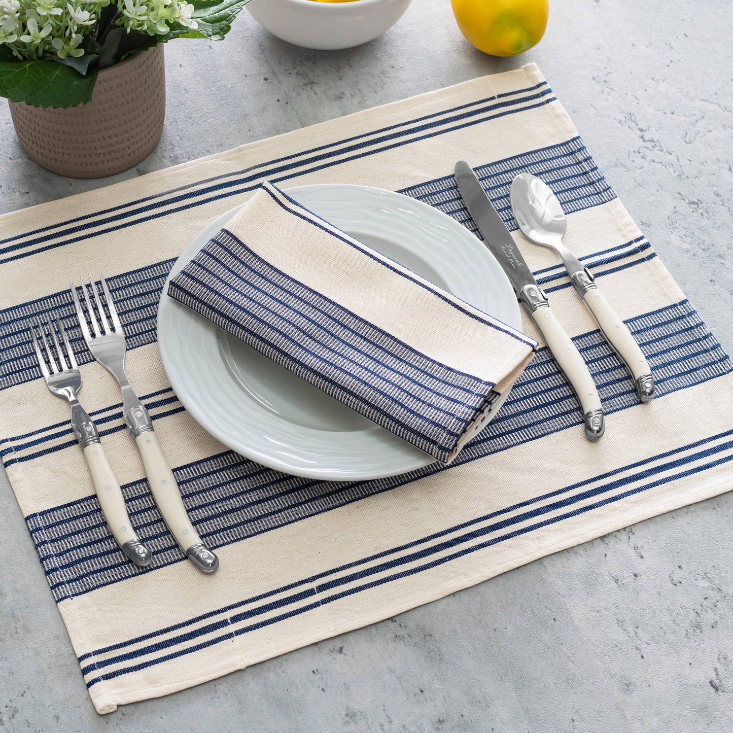 Blue & Cream Striped Napkins/Set of 4
