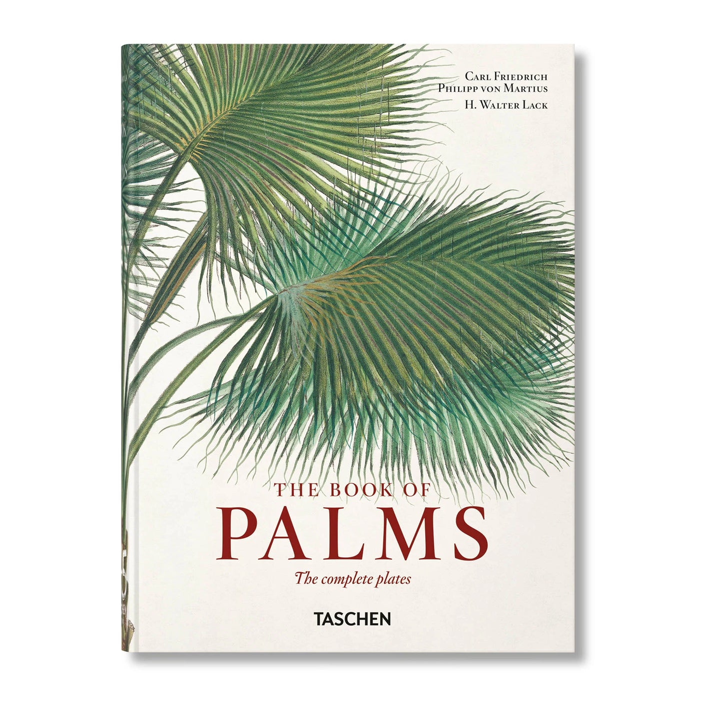 Martius: The book of Palms