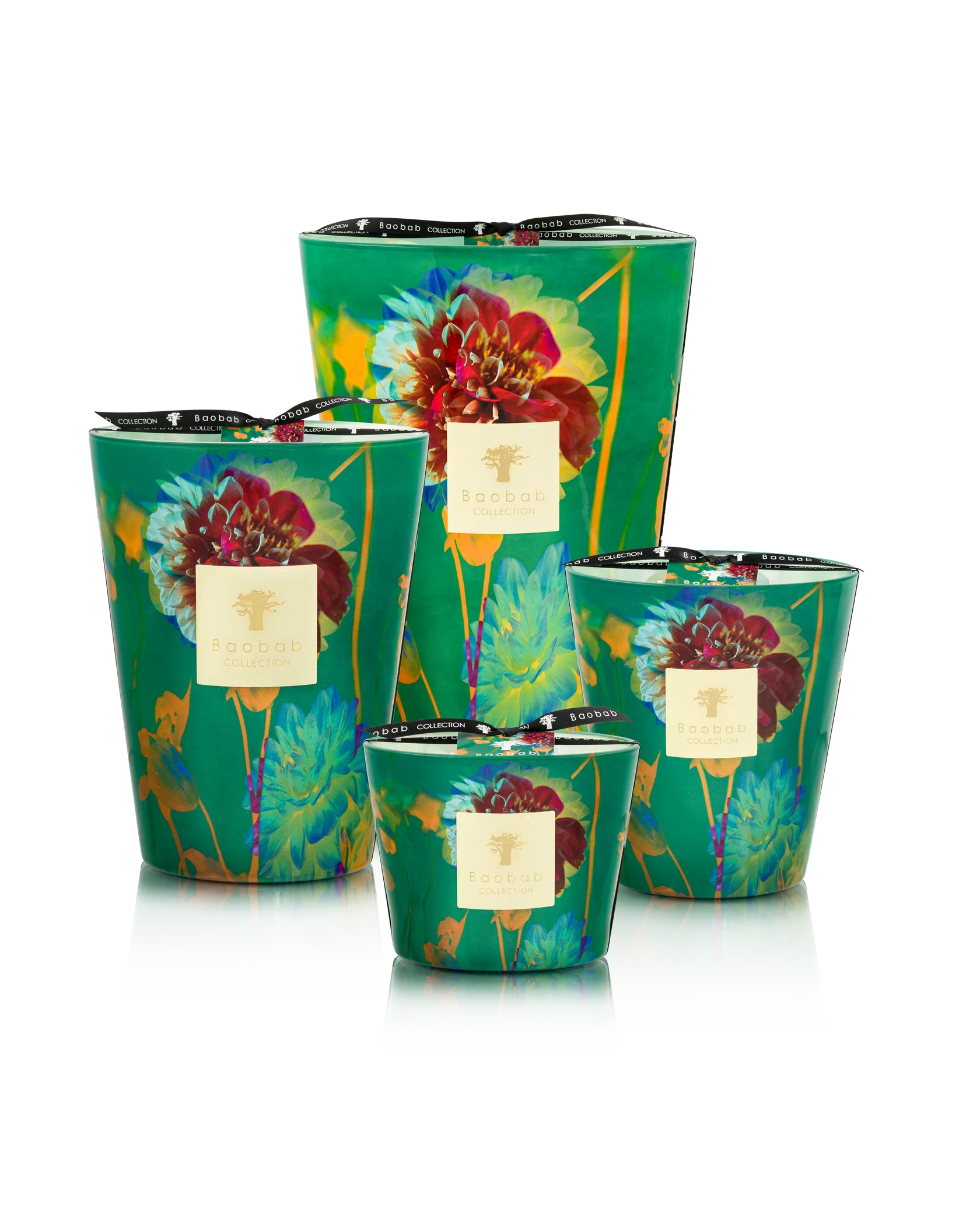Baobab Max 16 Arty Flowers Bouquet – Finch & Co