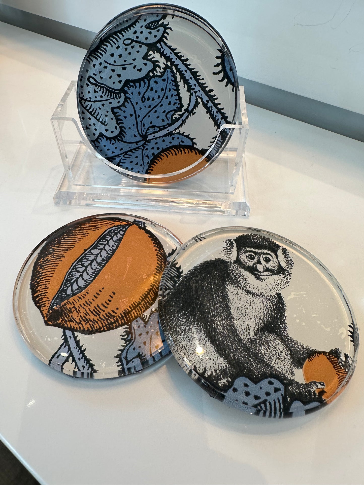 Custom Cole & Sons Lucite Coaster Set