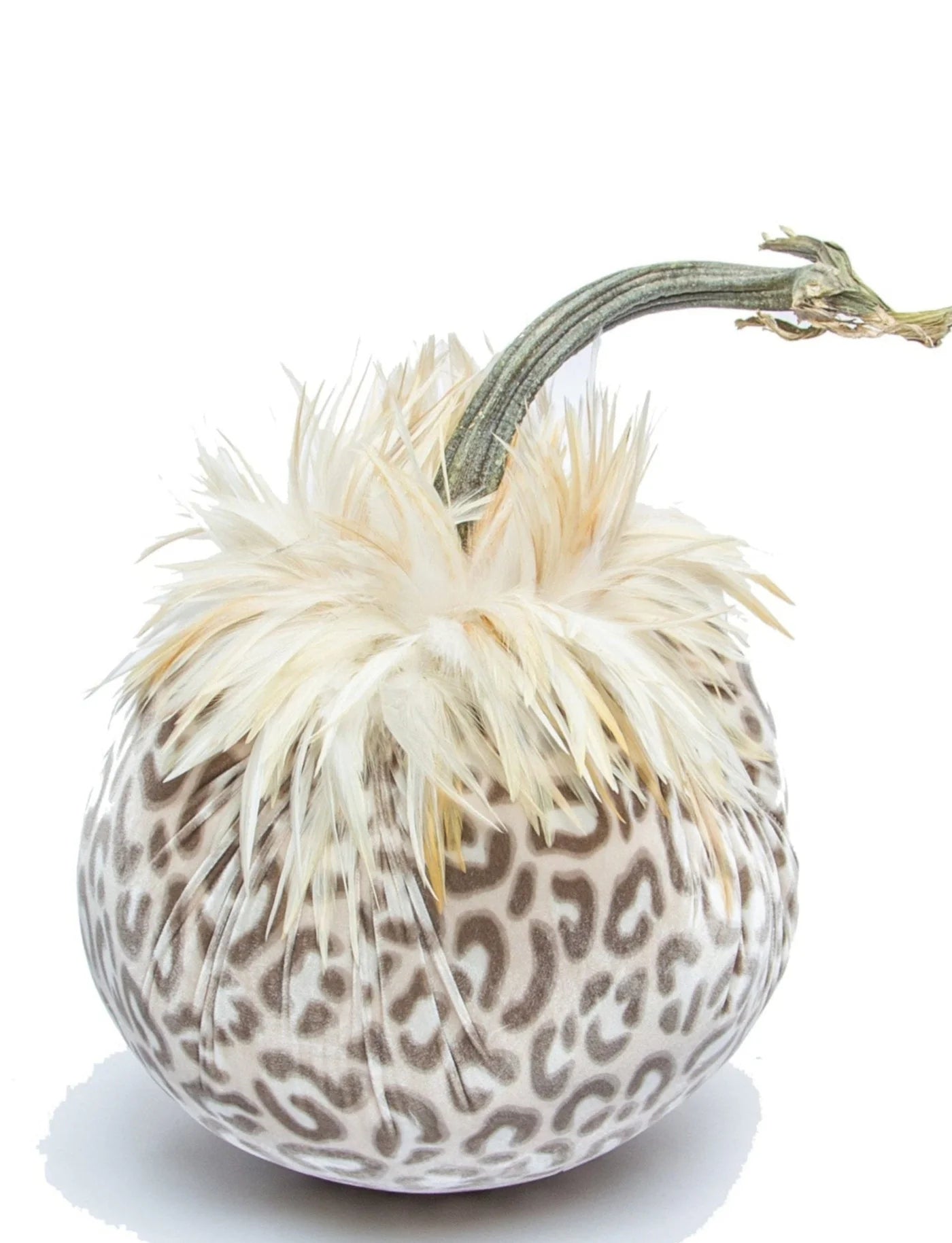 Jumbo Lake Blue Pumpkin with Feather Collar