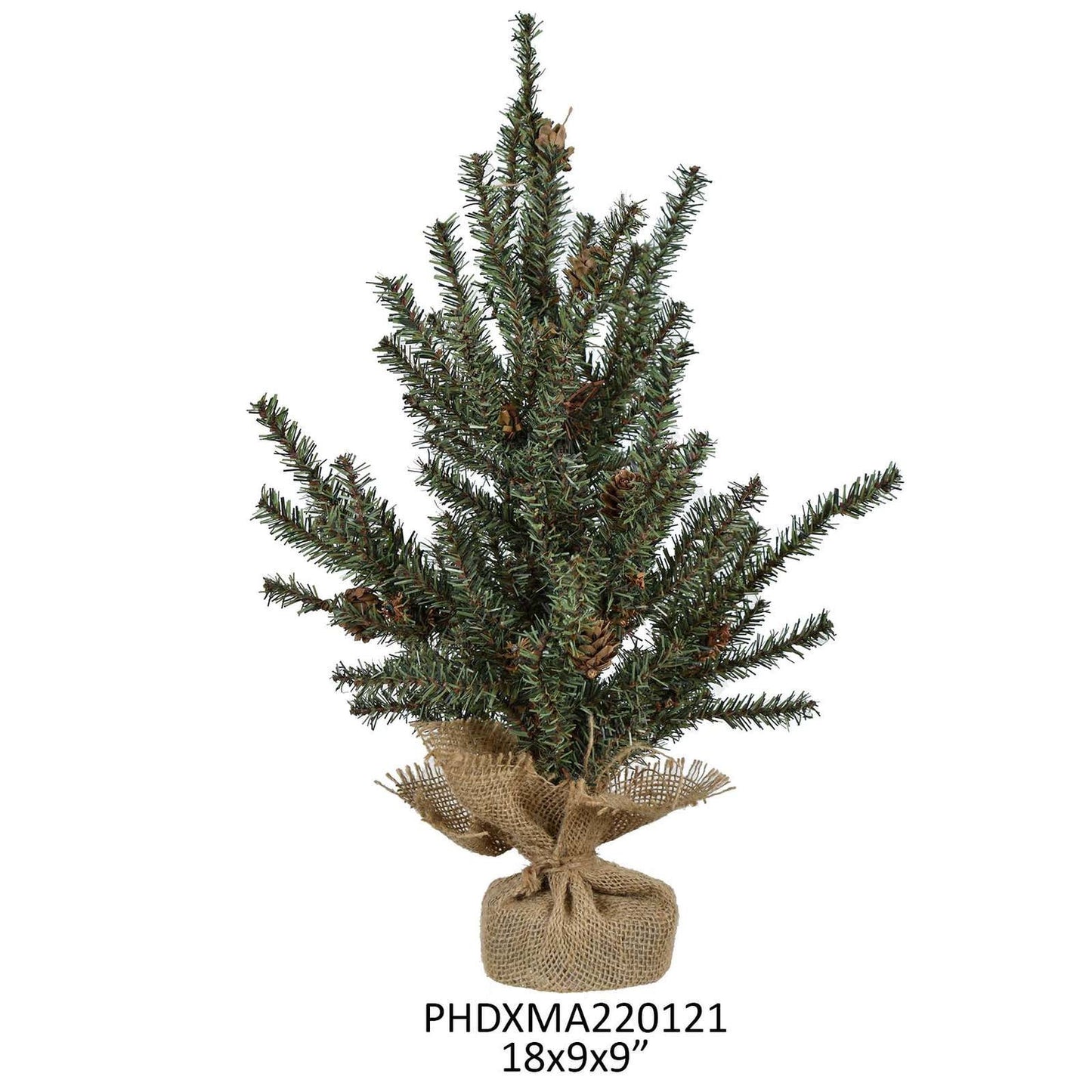 Douglas Fir Seedling Tree 18"