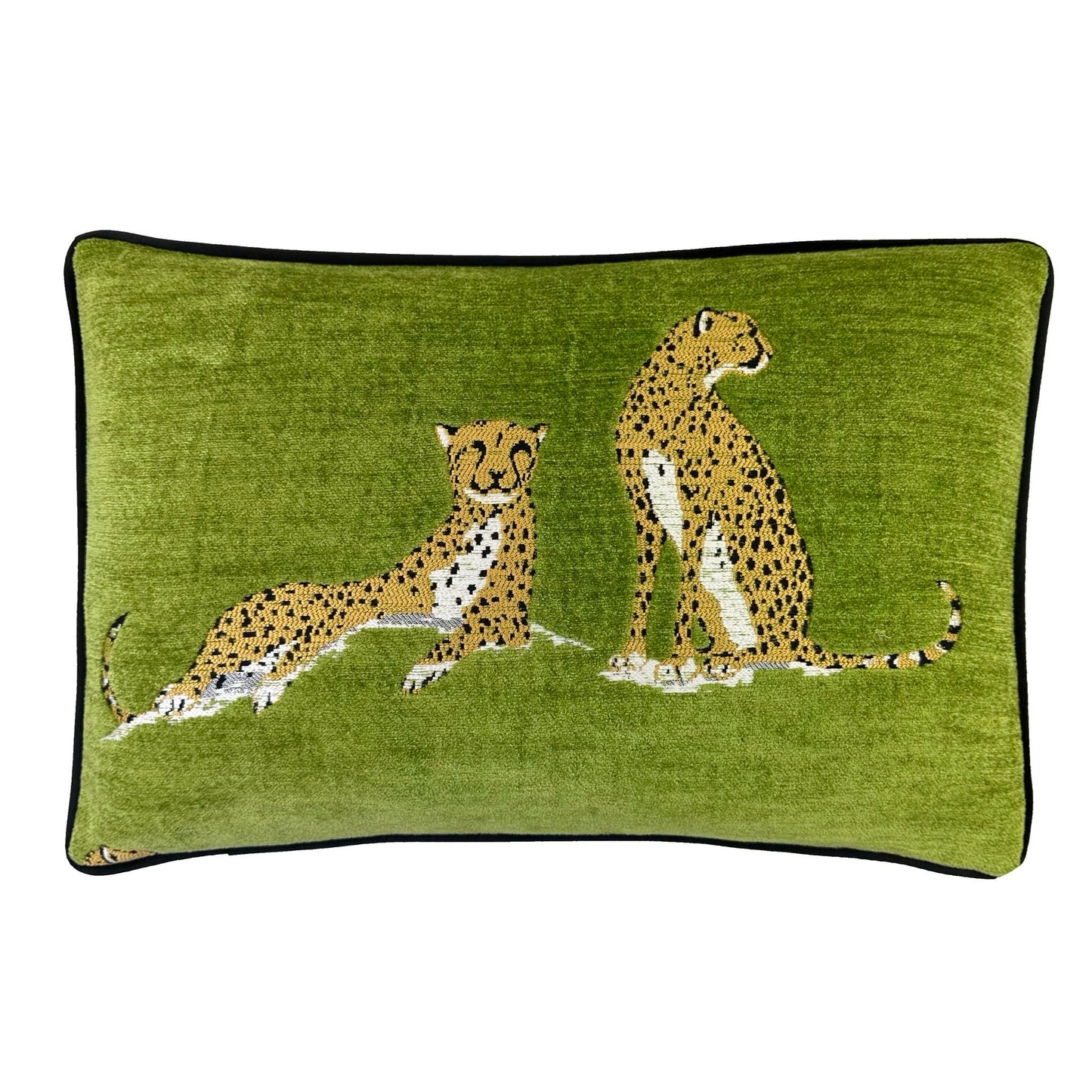 Tabbytha Lime 14x21 Pillow