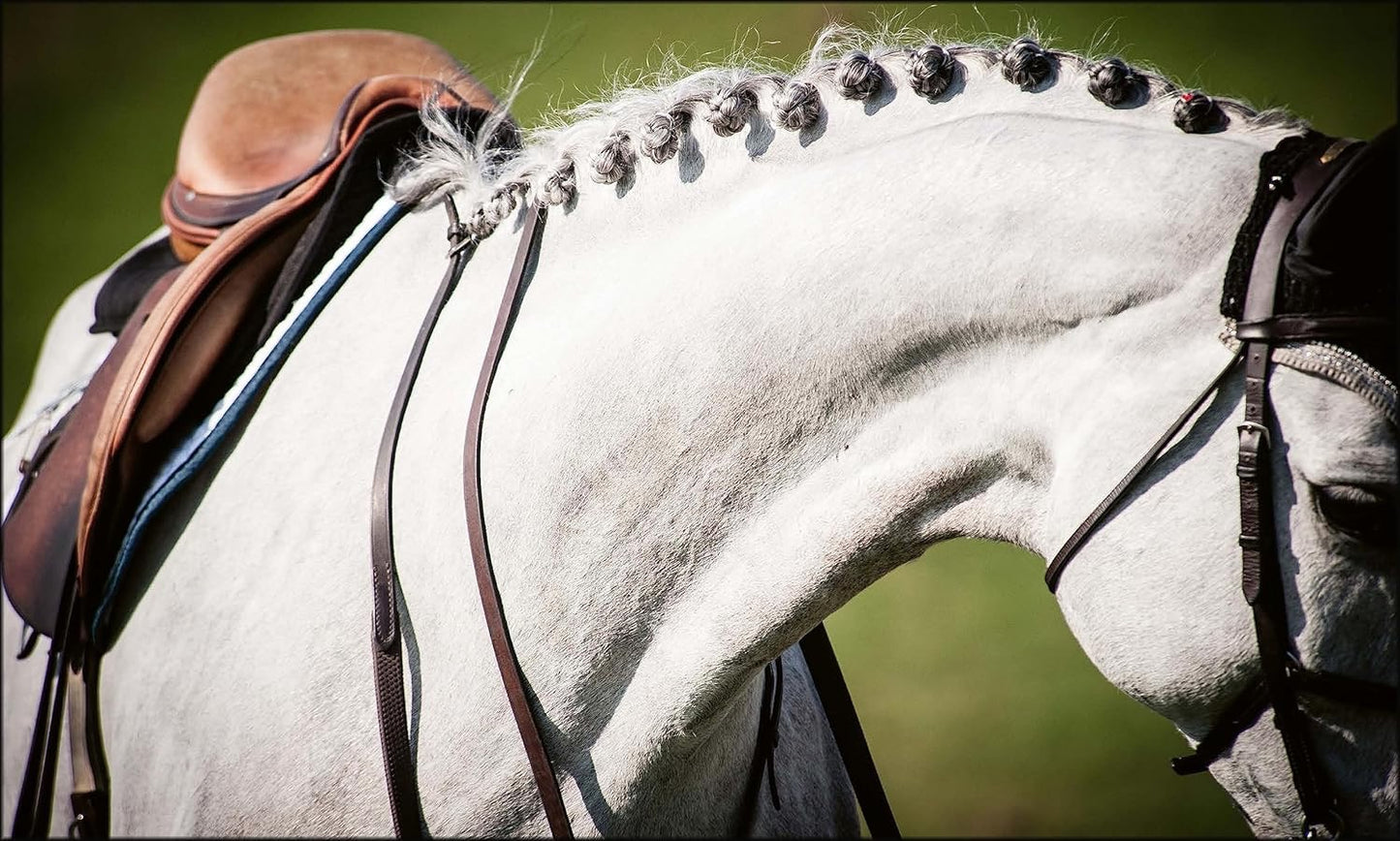 Equestrian Life in the Hamptons