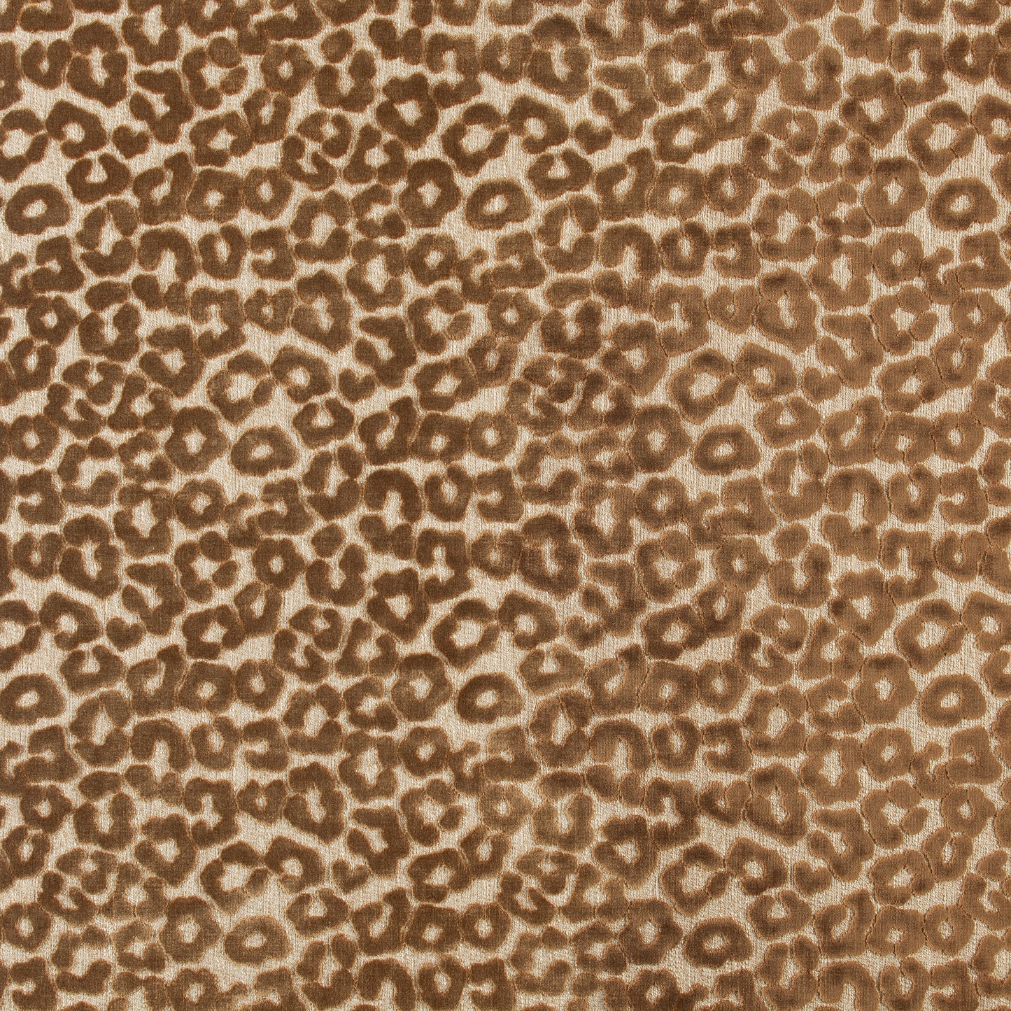 TP20 Judah Toffee, Grade 25