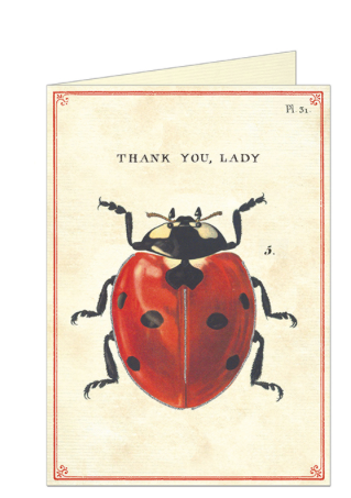 Thank You Lady Card