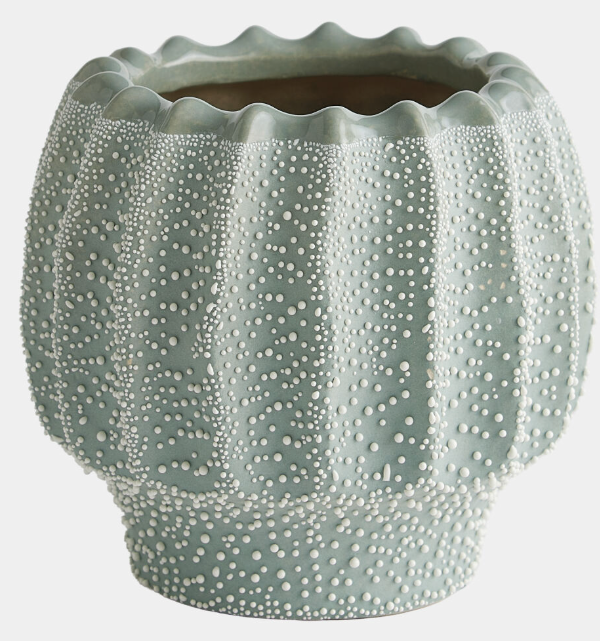 Echinus Vase-Green-Small