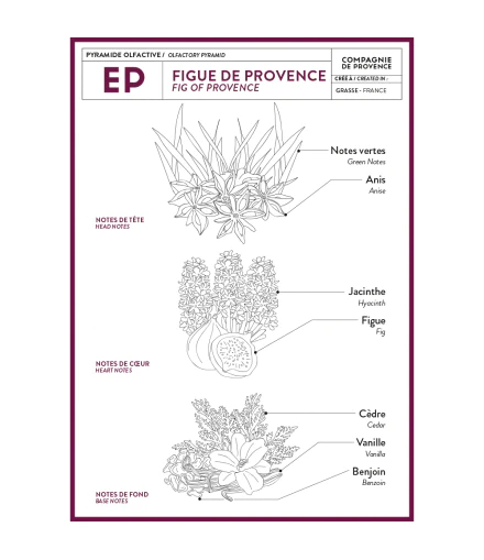 Fig of Provence Soap 16.7 fl oz