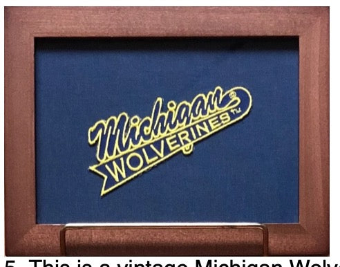 Vintage Michigan College Patch