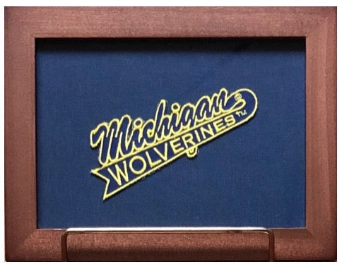 Vintage Michigan College Patch