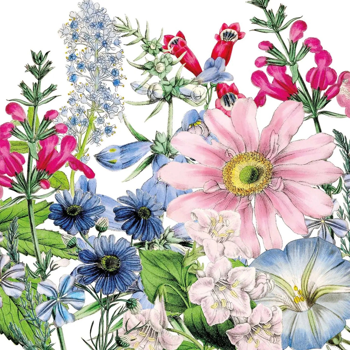 Bev - Floriculture