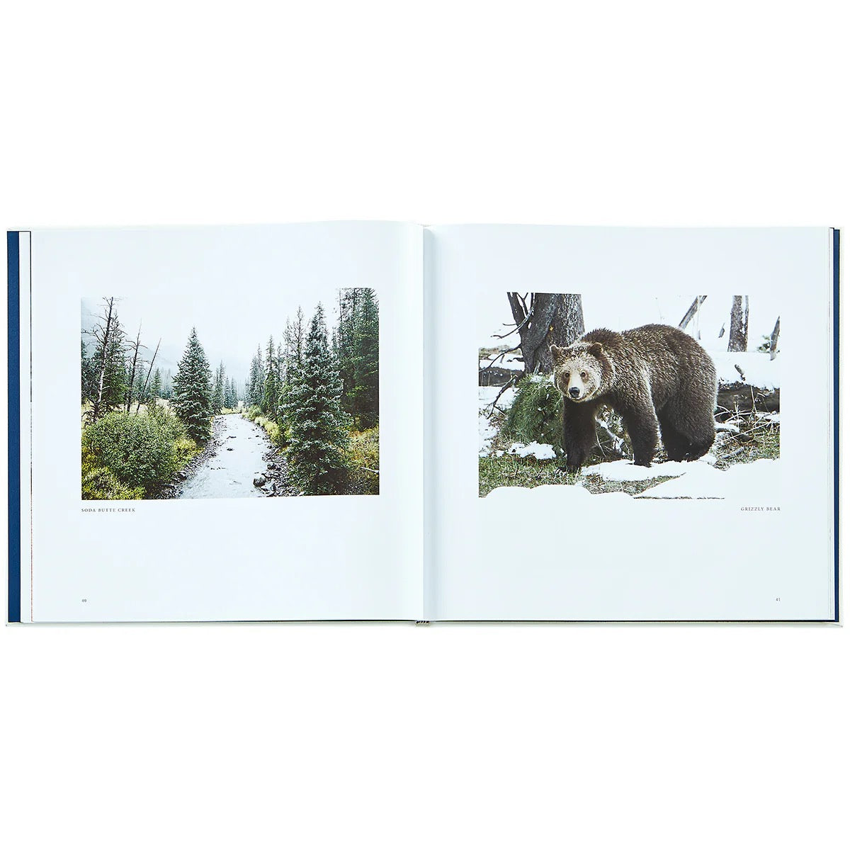 Yellowstone - A land of Wild and Wonder - Book