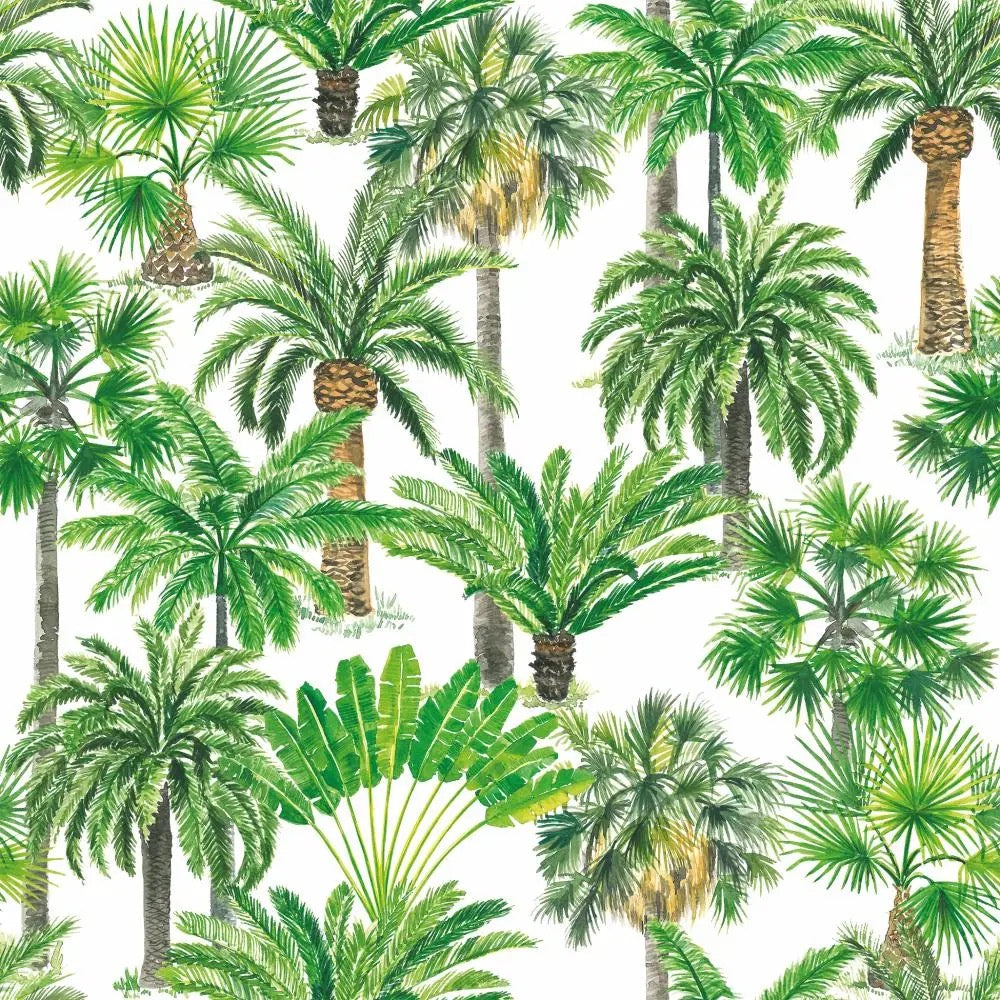 Bev - Palm Oasis