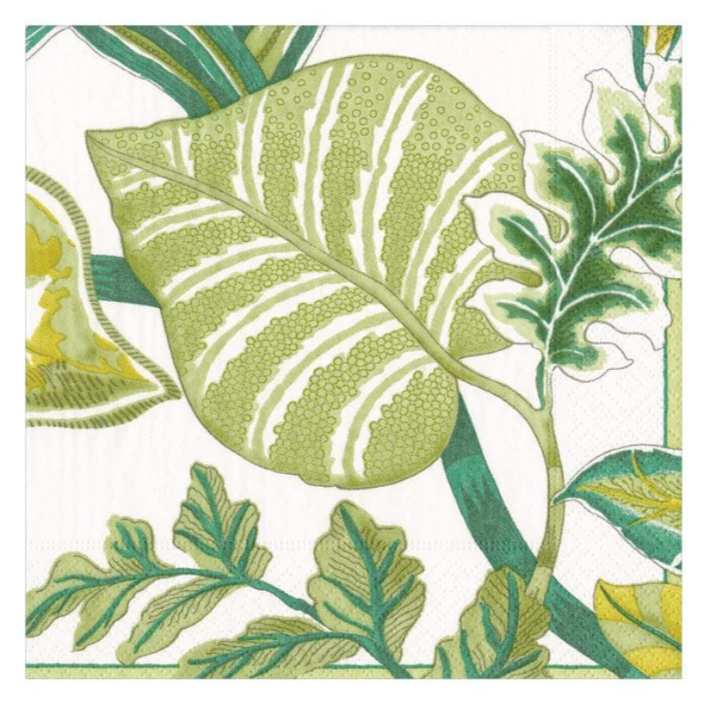 Florida Ivory Cocktail Napkin 20/Pk