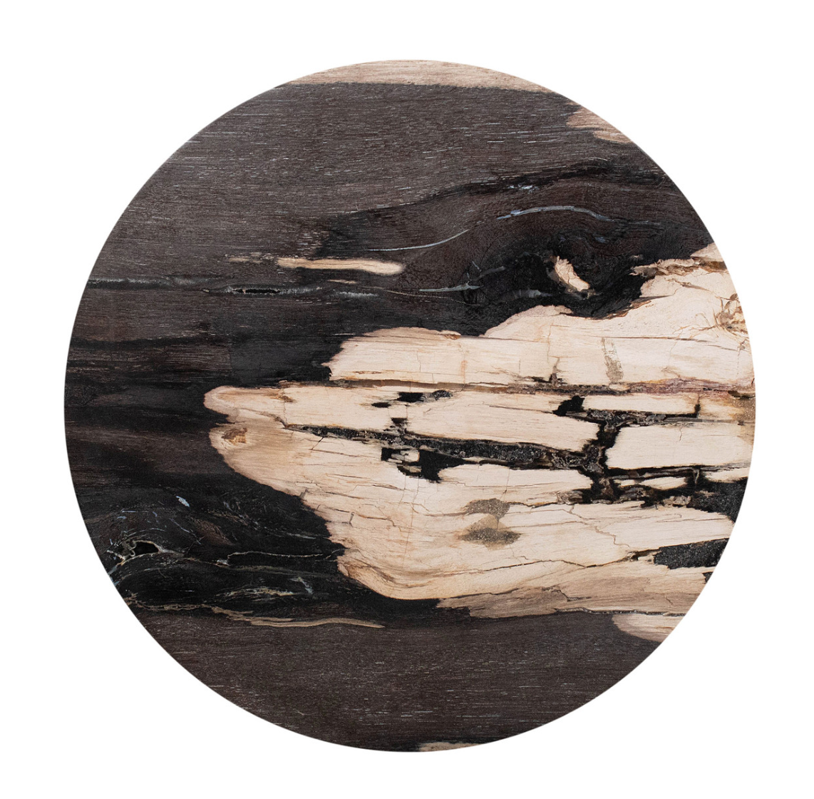 Organic Petrified Wood Top Accent Table