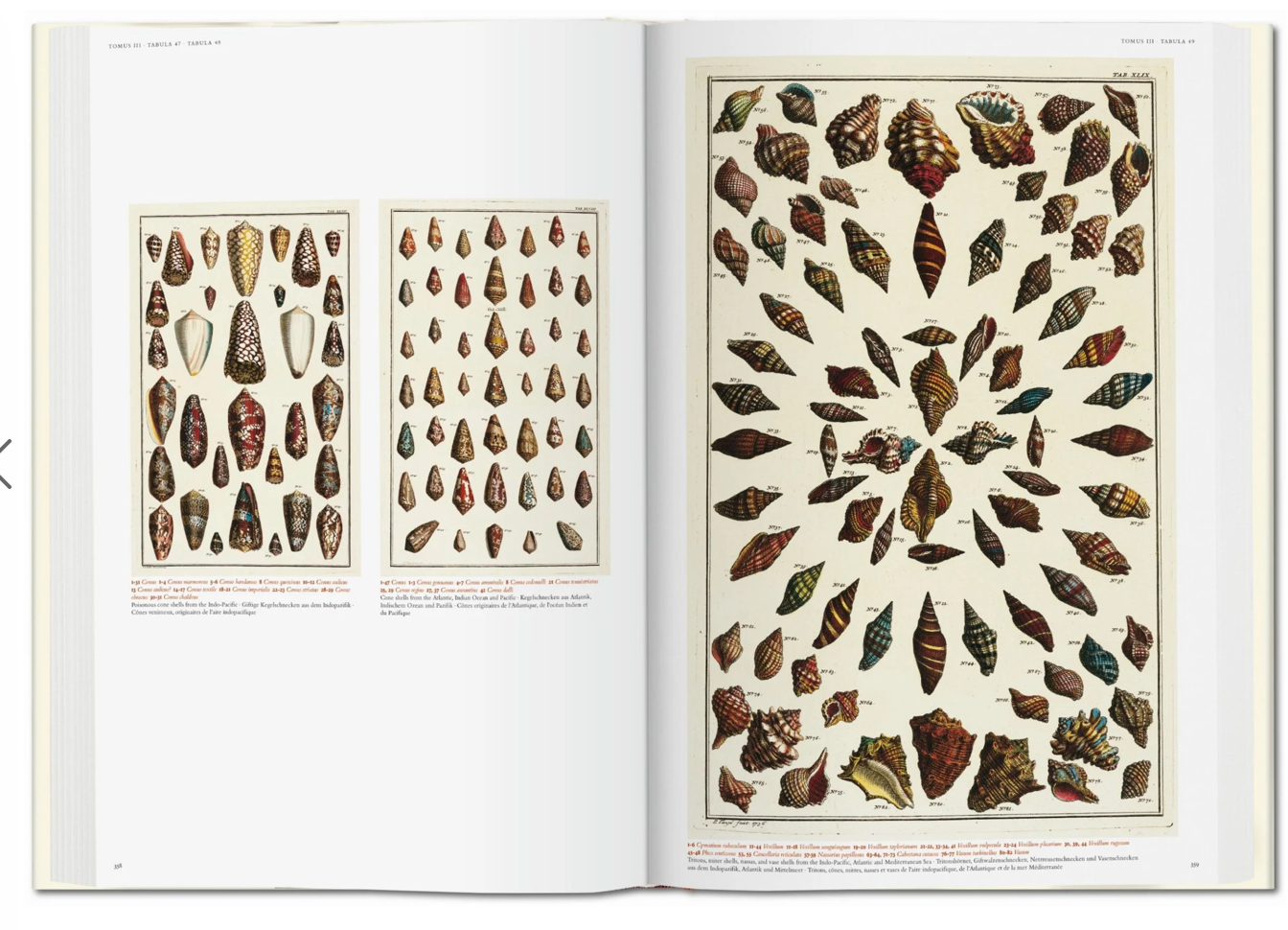 Seba. Cabinet of Natural Curiosities