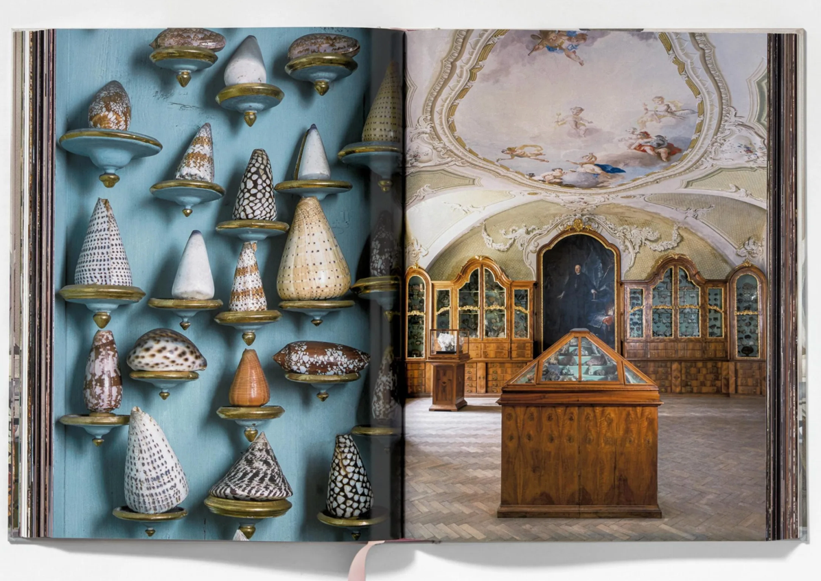 Listri: Cabinet of Curiosities