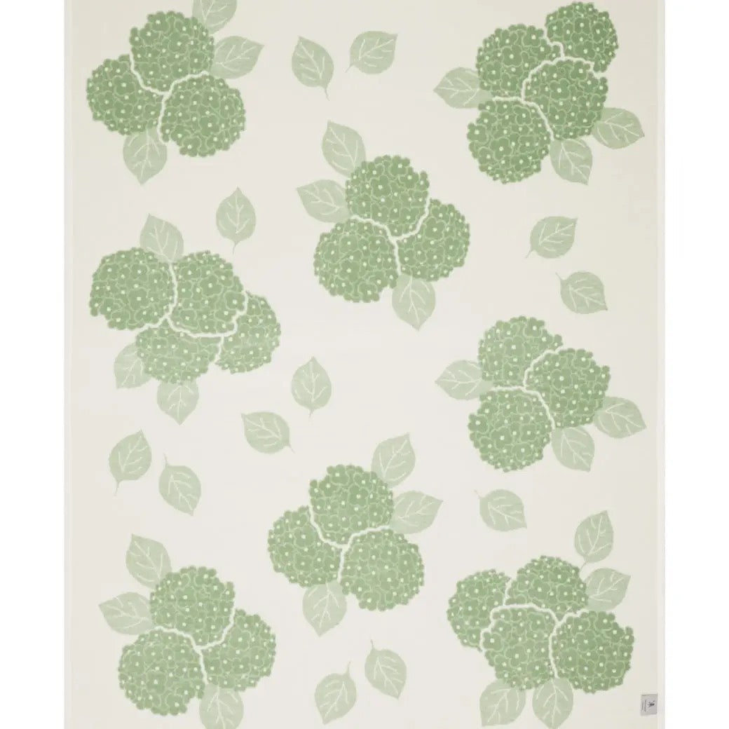 Sage Hydrangea Blanket, 60" x 80"