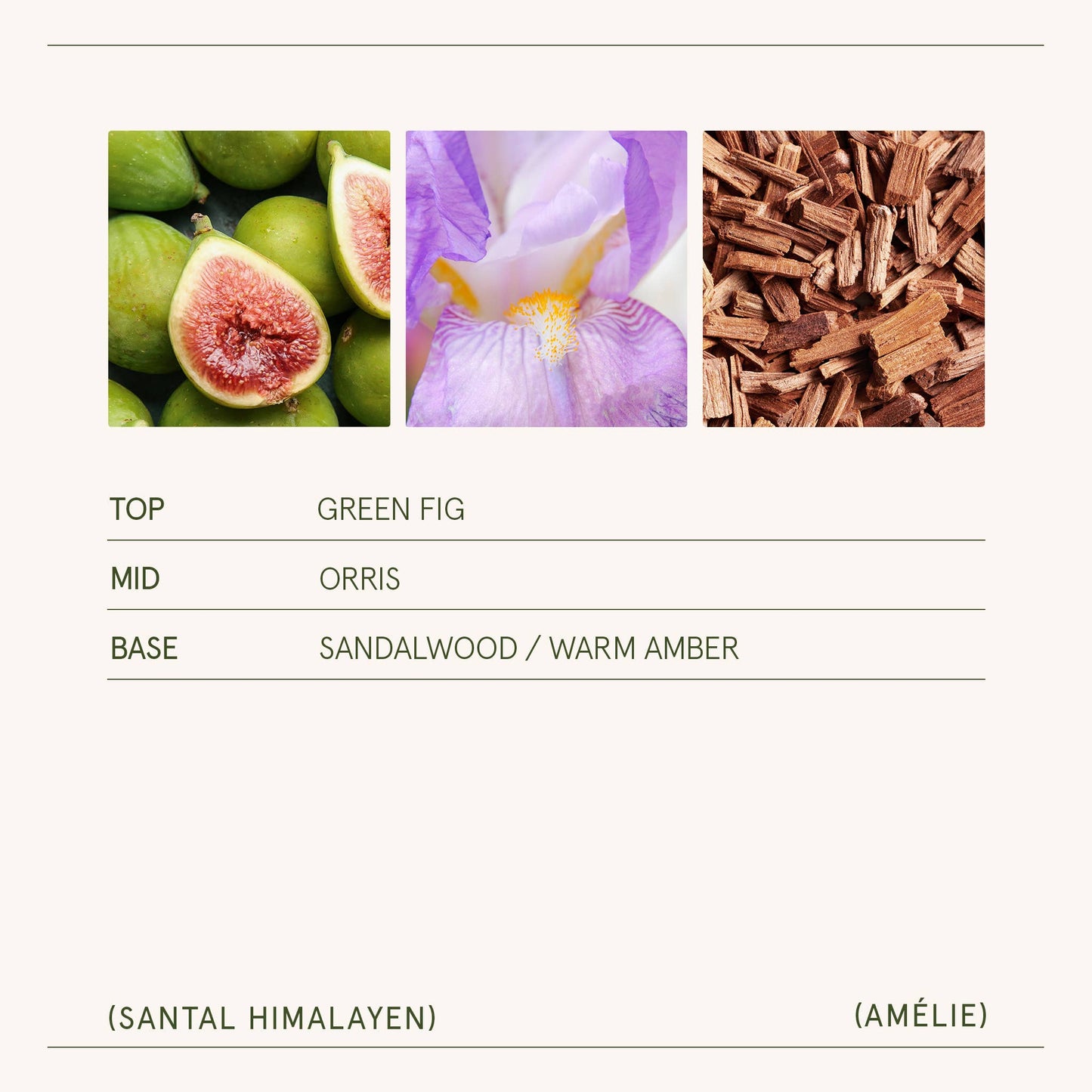 Amélie - Santal Himalayen 7oz Candle Tester