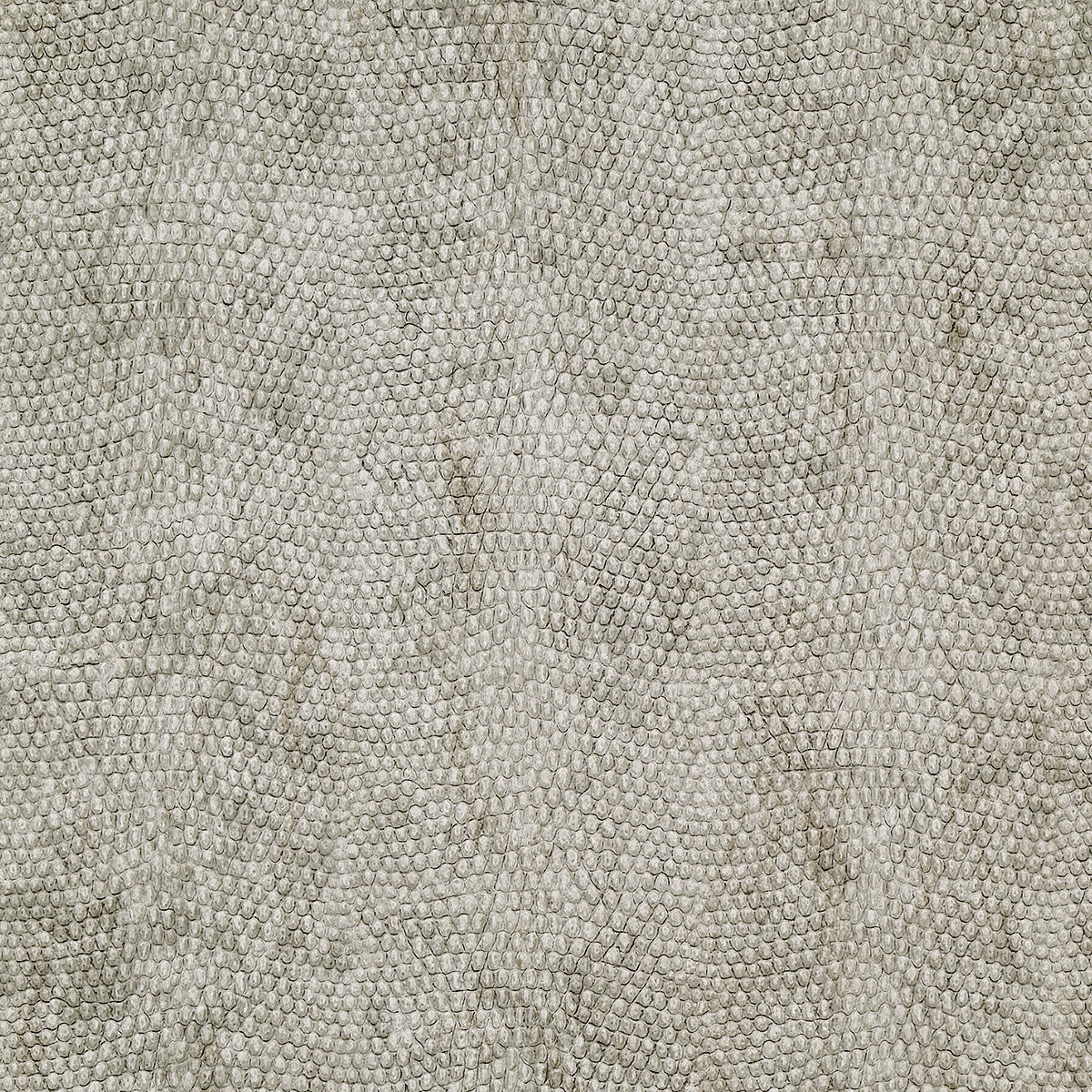 Vinyl Snakeskin Wallpaper / Upscaled Grey