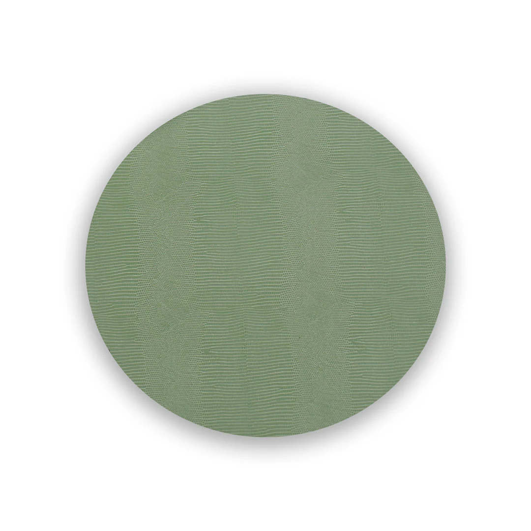 VIDA Snakeskin Reversible Placemats, Green/Gray Set of 4