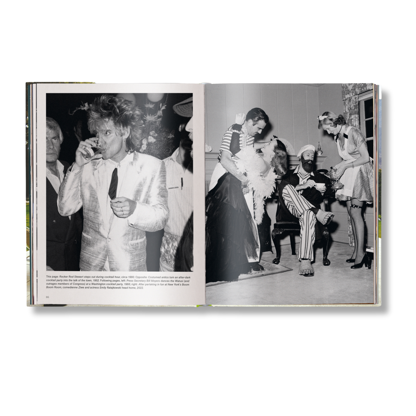 The Stylish Life: Cocktail Parties