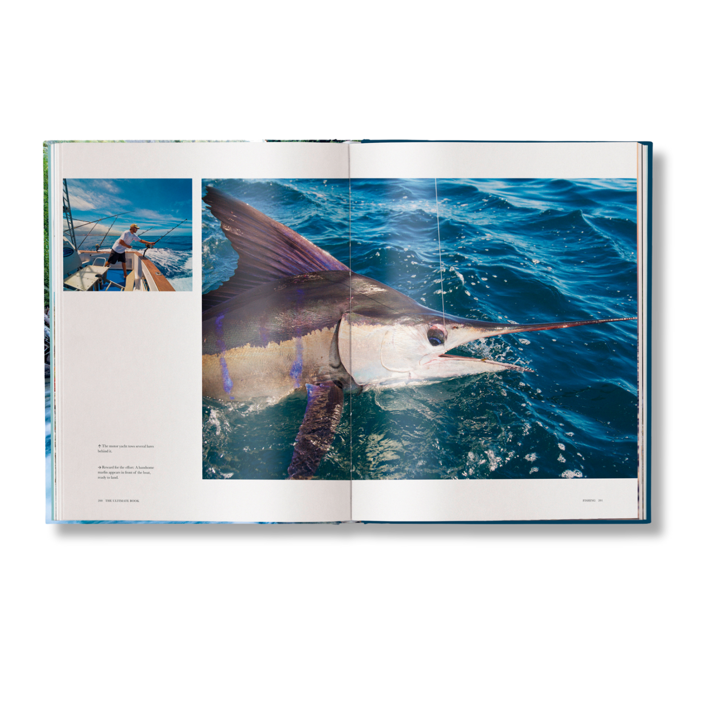 Fishing: The Ultimate Book