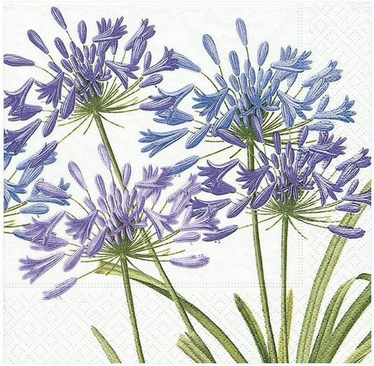 Agapanthus 2 Cocktail Napkin