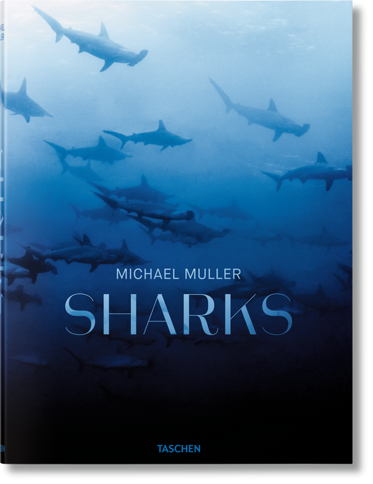 Sharks Book
