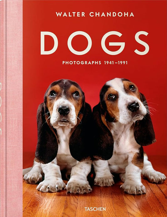 Dogs Photography Book