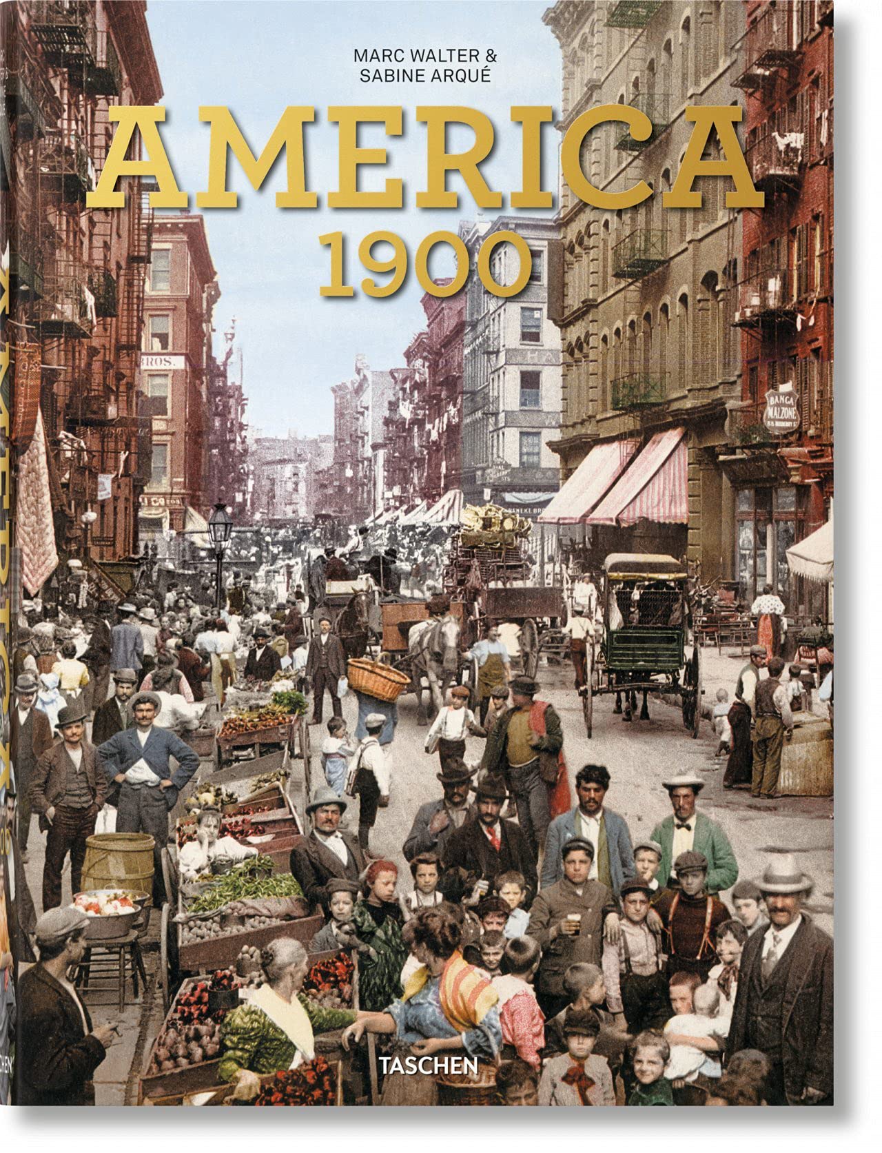 America 1900 Book