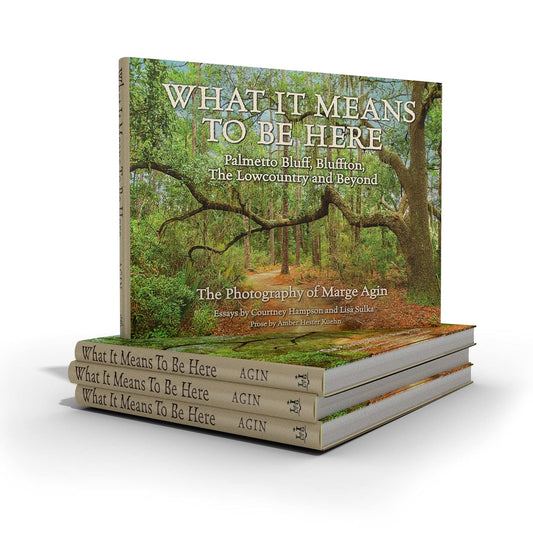 What It Means To Be Here, Book