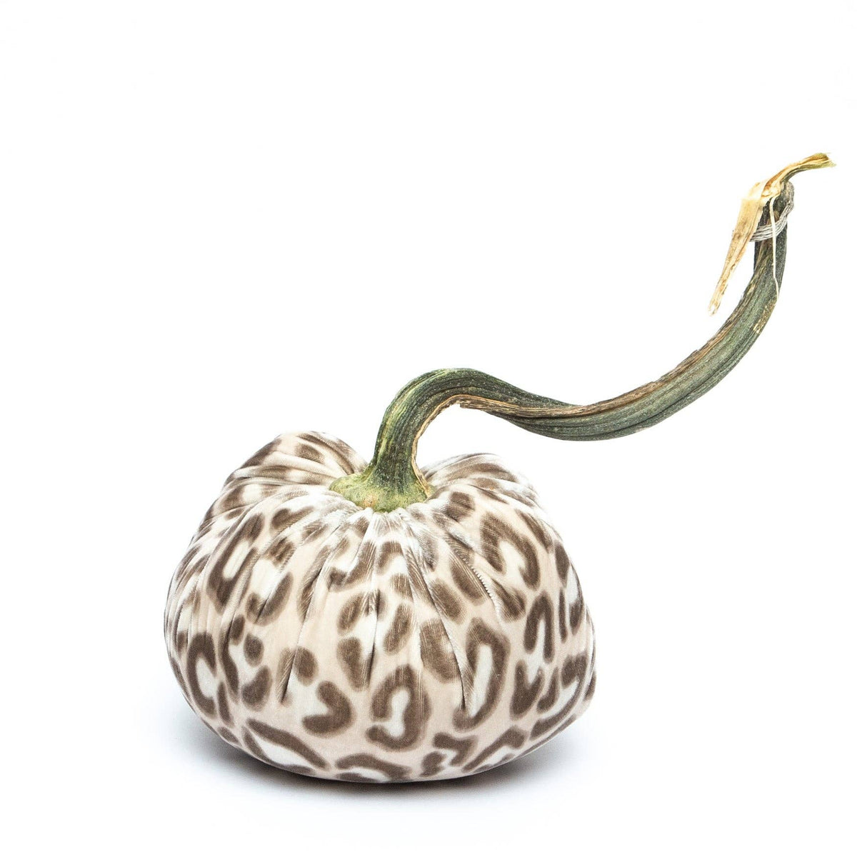 Snow Leopard Silk Velvet Pumpkin: 4"