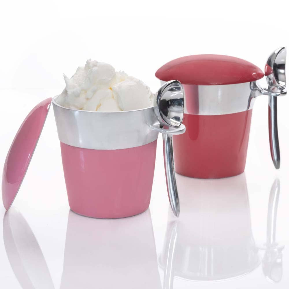 Pint Ice Cream Server Set: Snow