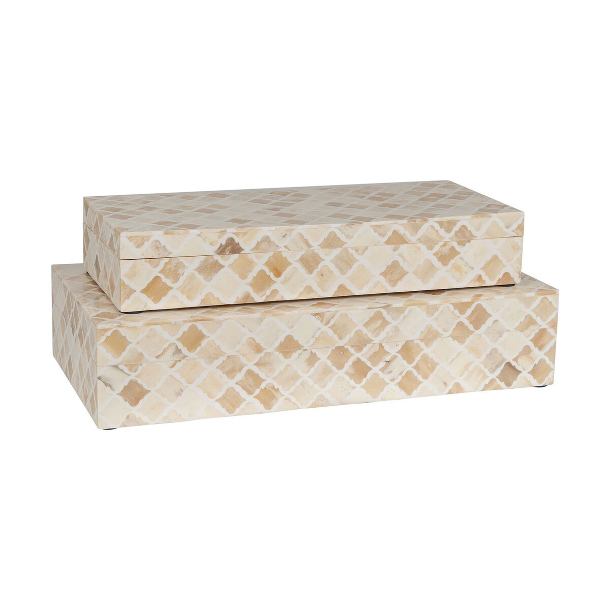 Rhea Wood and Bone Decorative box set of 2, White