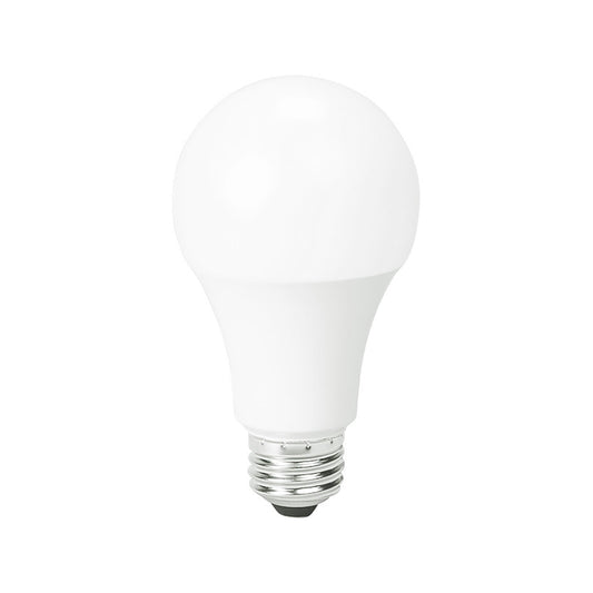 Light Bulbs - A19 LED