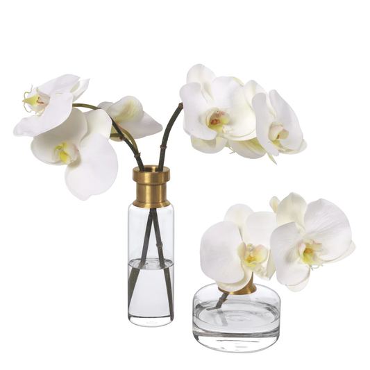 Duet Faux Orchid