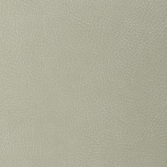 Kravet Faux Leather
