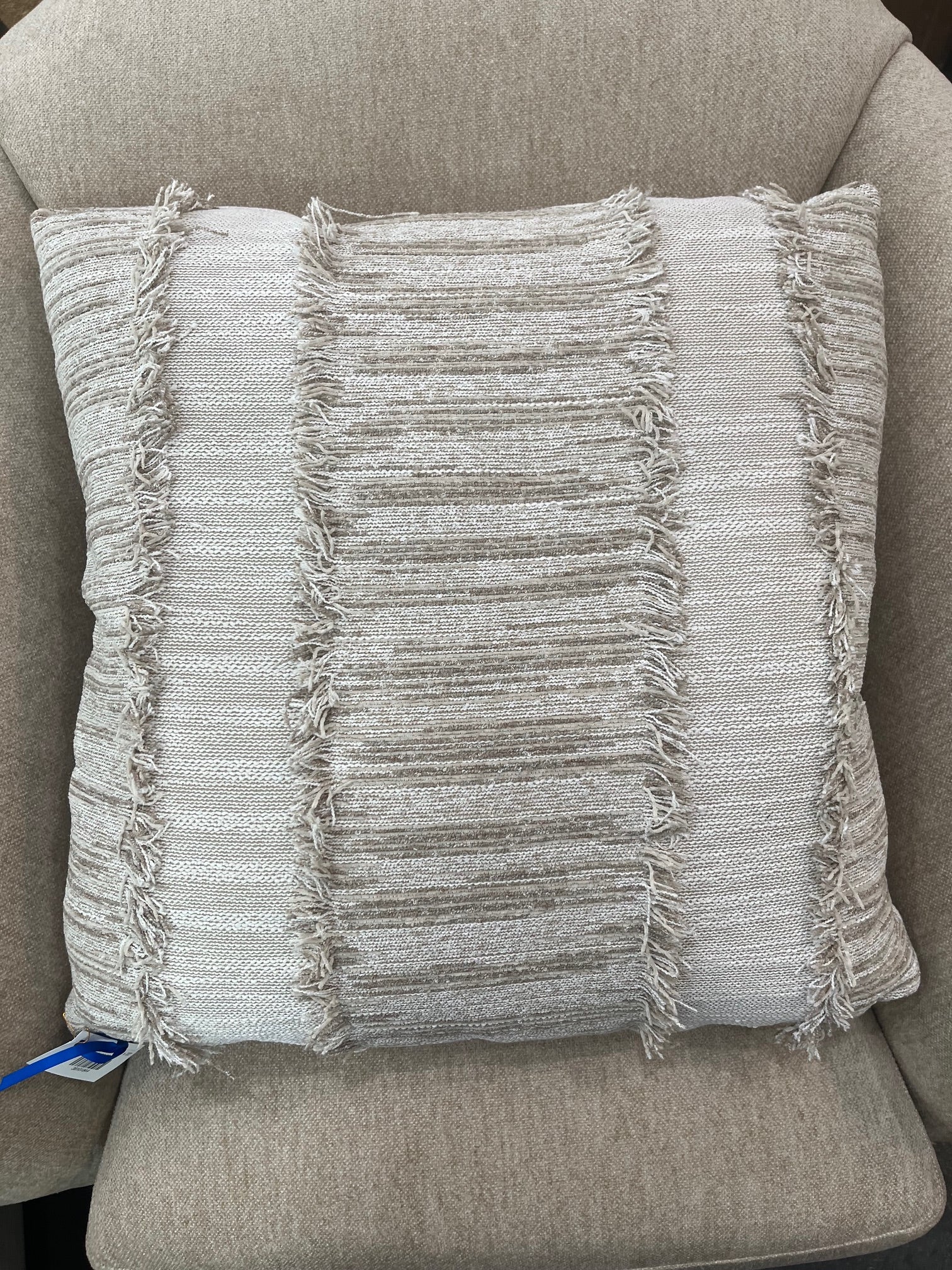 Hudson Birch Pillow