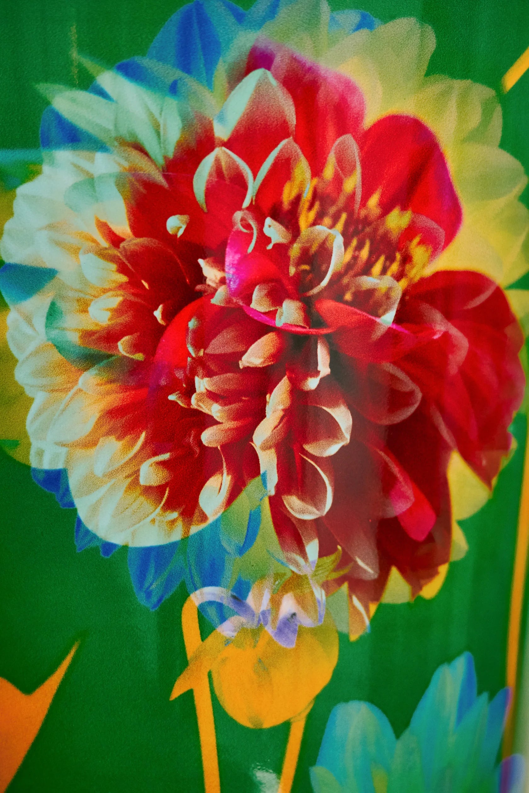 Baobab Max 16 Arty Flowers Bouquet – Finch & Co