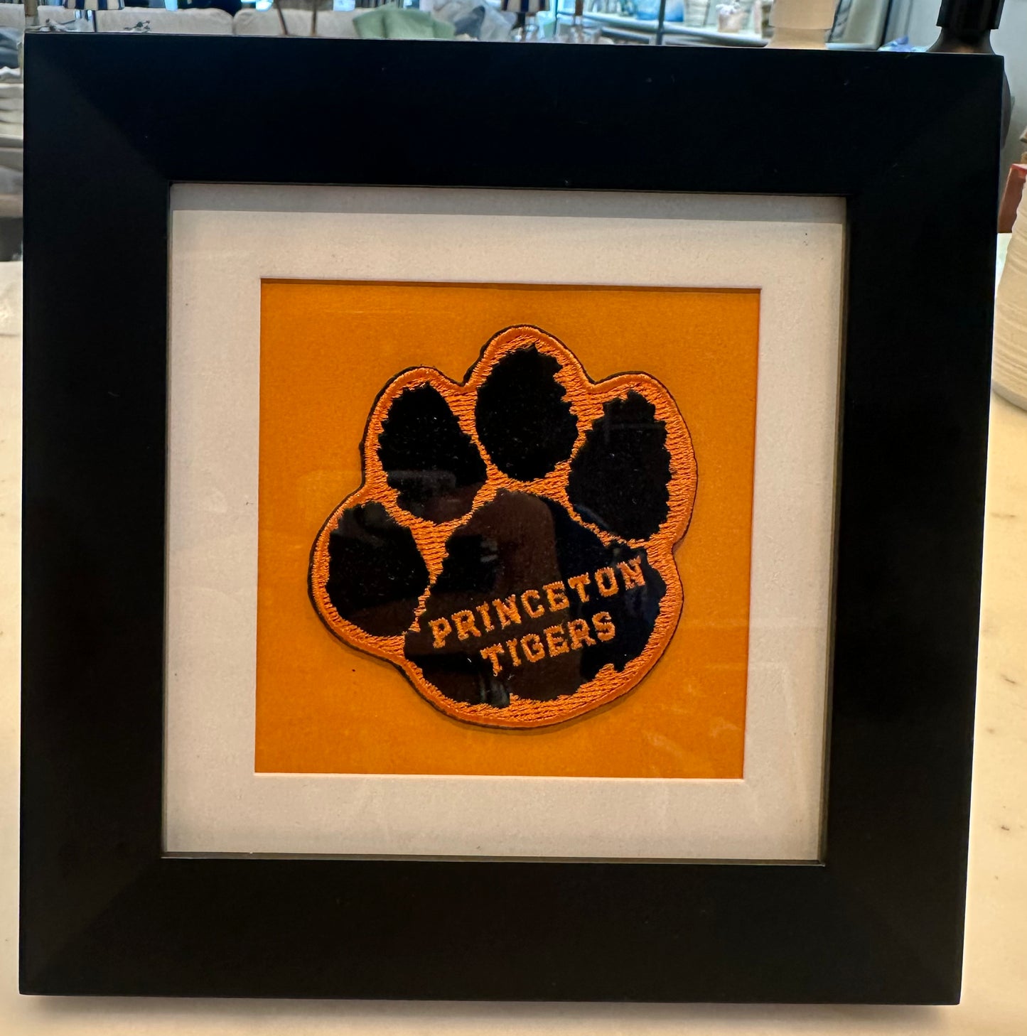 Vintage Princeton Patch