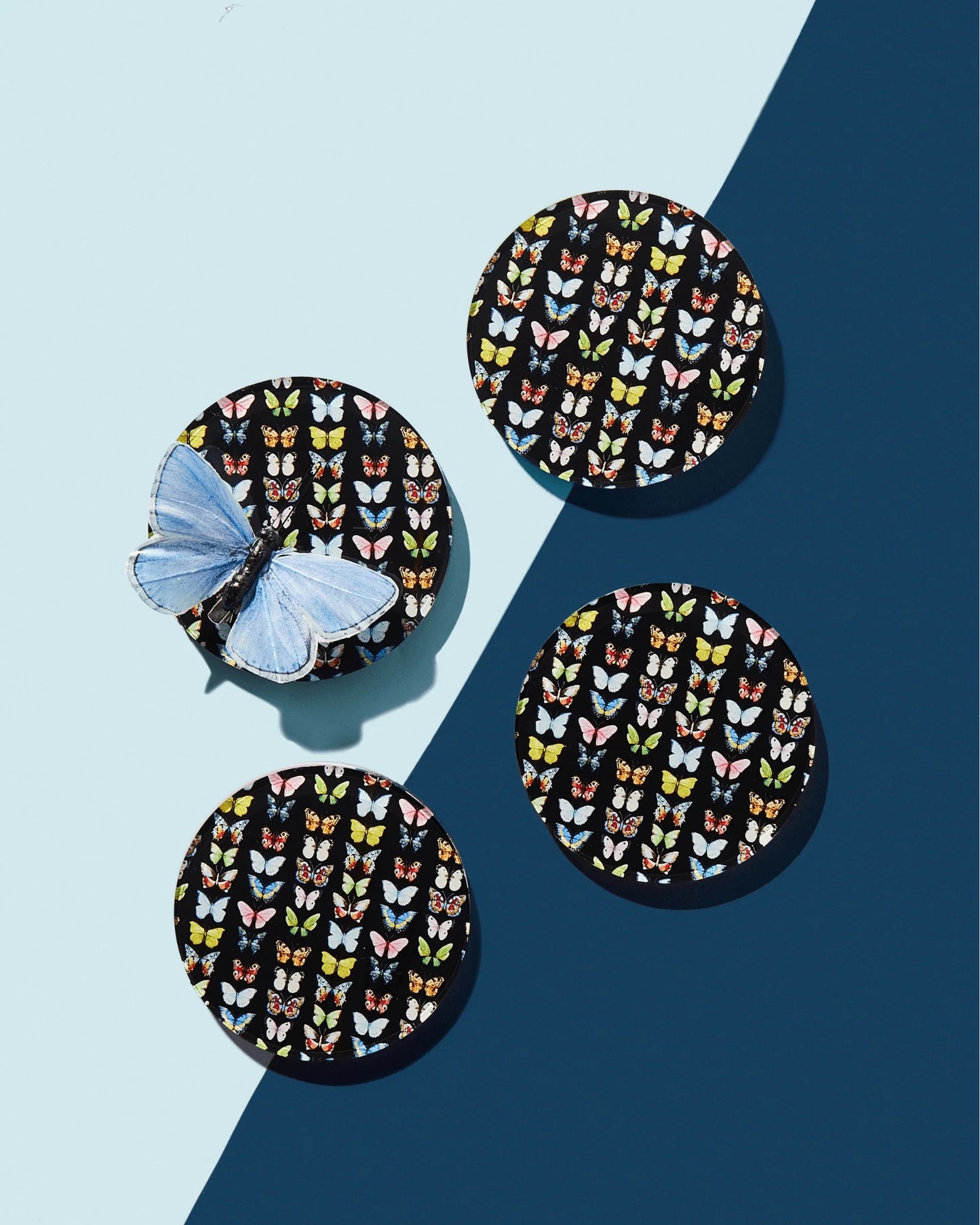 Monarch Coasters: Set of 4
