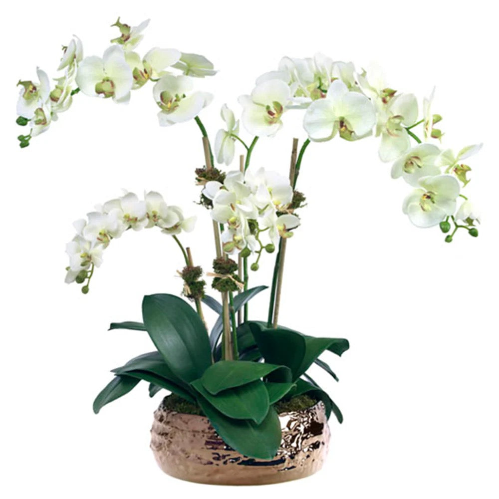 Wonder Filled Faux Orchid