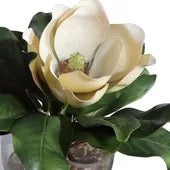Celia Silk Magnolia Accent