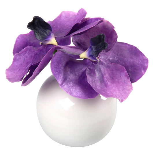 Purple Vanda Blossom
