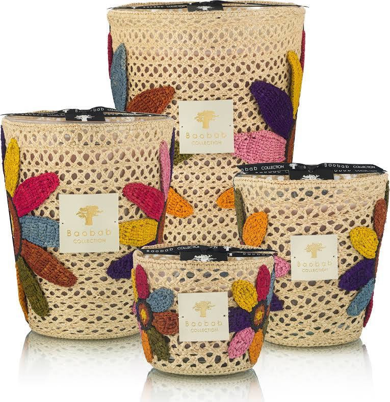 Baobab Candle Tournesol Girasol - Max 10