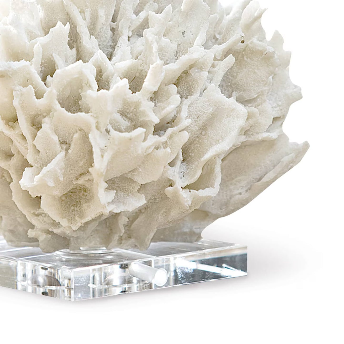 Ribbon Coral - White